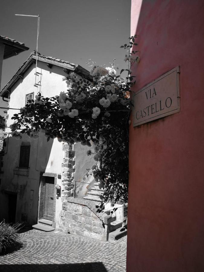 La Casetta di Nonna Ida Trevignano Romano Esterno foto